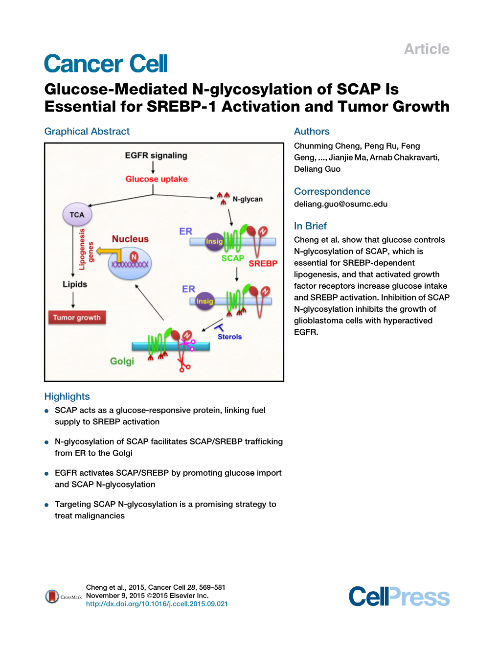 Glucose Mediated N Glycosylation Of Scap Is Essential For Srebp