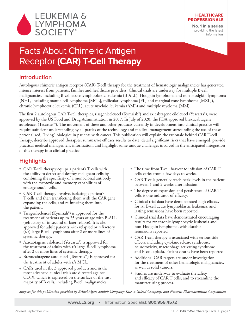 Facts About Chimeric Antigen Receptor CAR T Cell Therapy DocsLib