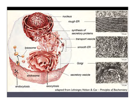 Intro Biophysics