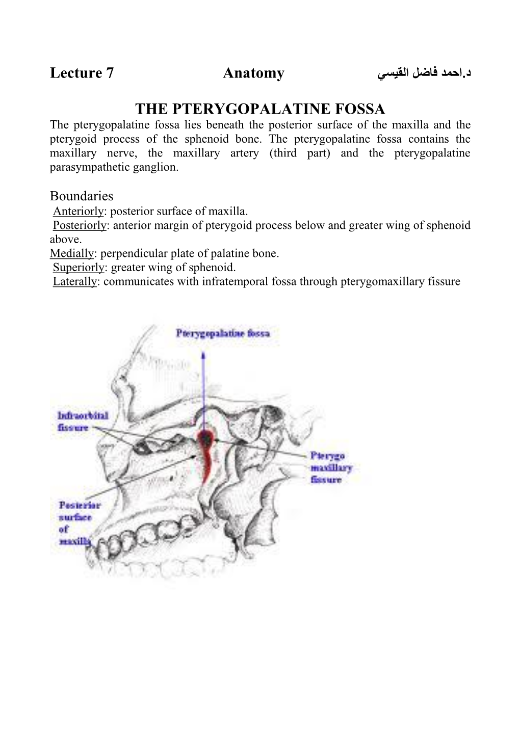 Lecture Anatomy The Pterygopalatine Fossa Docslib