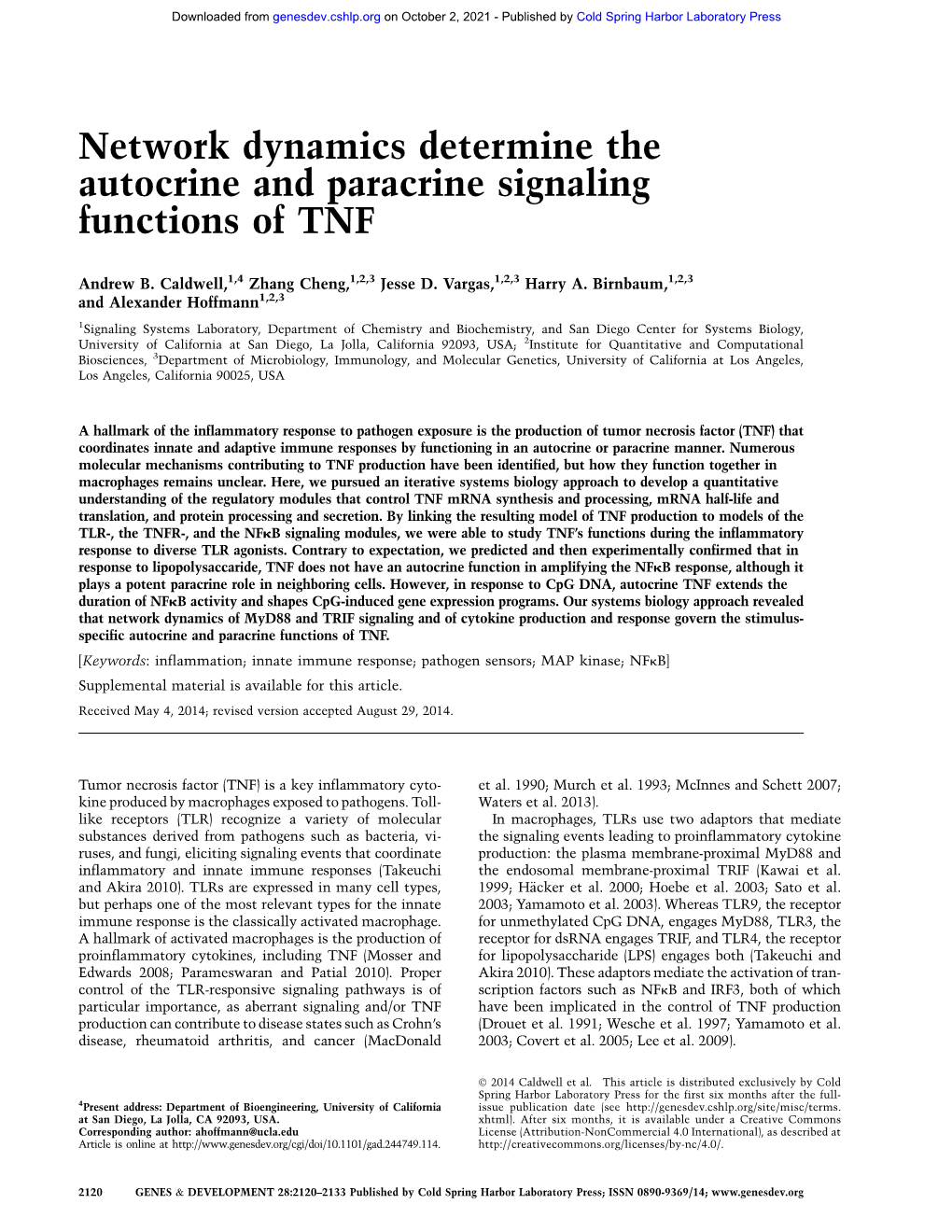 Network Dynamics Determine The Autocrine And Paracrine Signaling