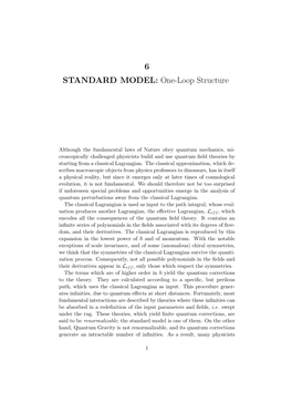 6 STANDARD MODEL: One-Loop Structure