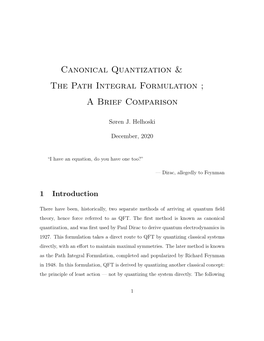 Canonical Quantization & the Path Integral Formulation ; a Brief