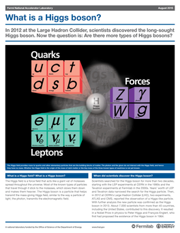 What Is a Higgs Boson?
