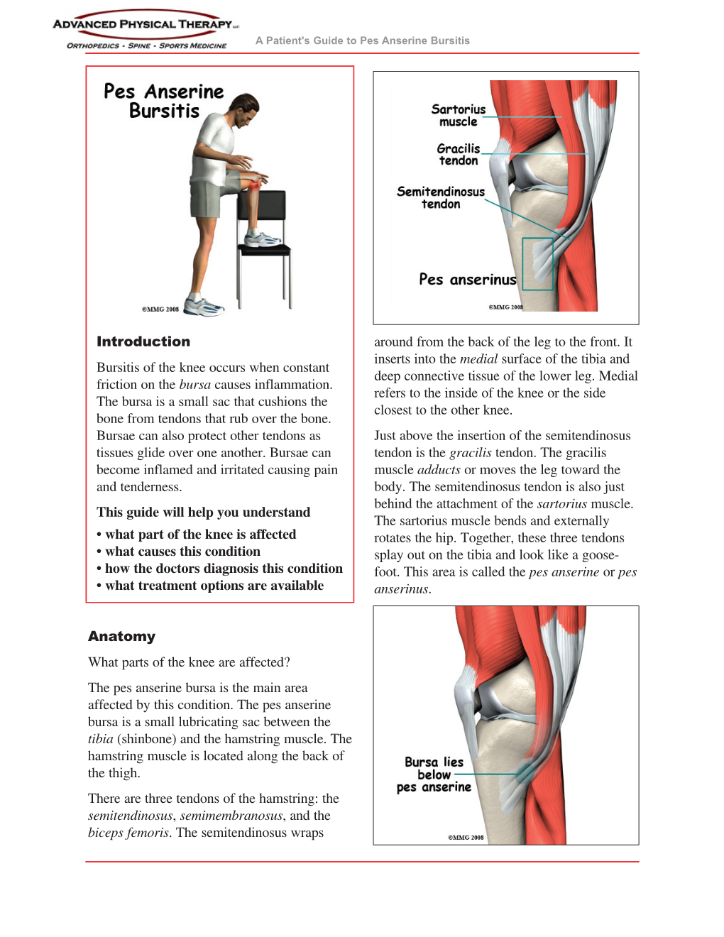 Pes Anserine Bursitis Docslib