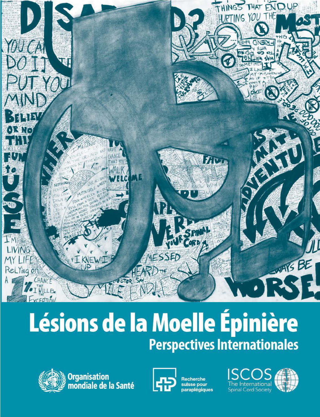 Lésions De La Moelle Épinière Perspectives Internationales DocsLib