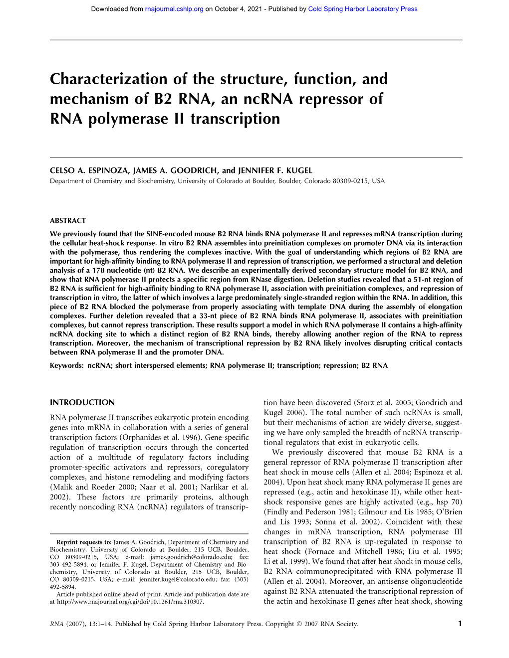 Characterization Of The Structure Function And Mechanism Of B2 RNA