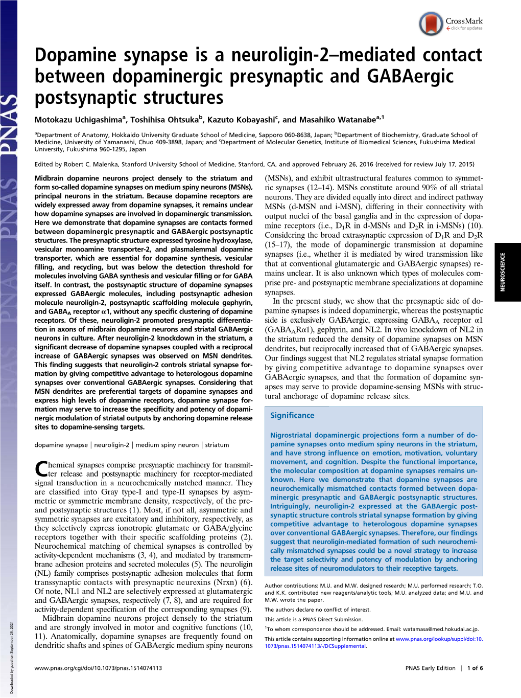 Dopamine Synapse Is A Neuroligin Mediated Contact Between