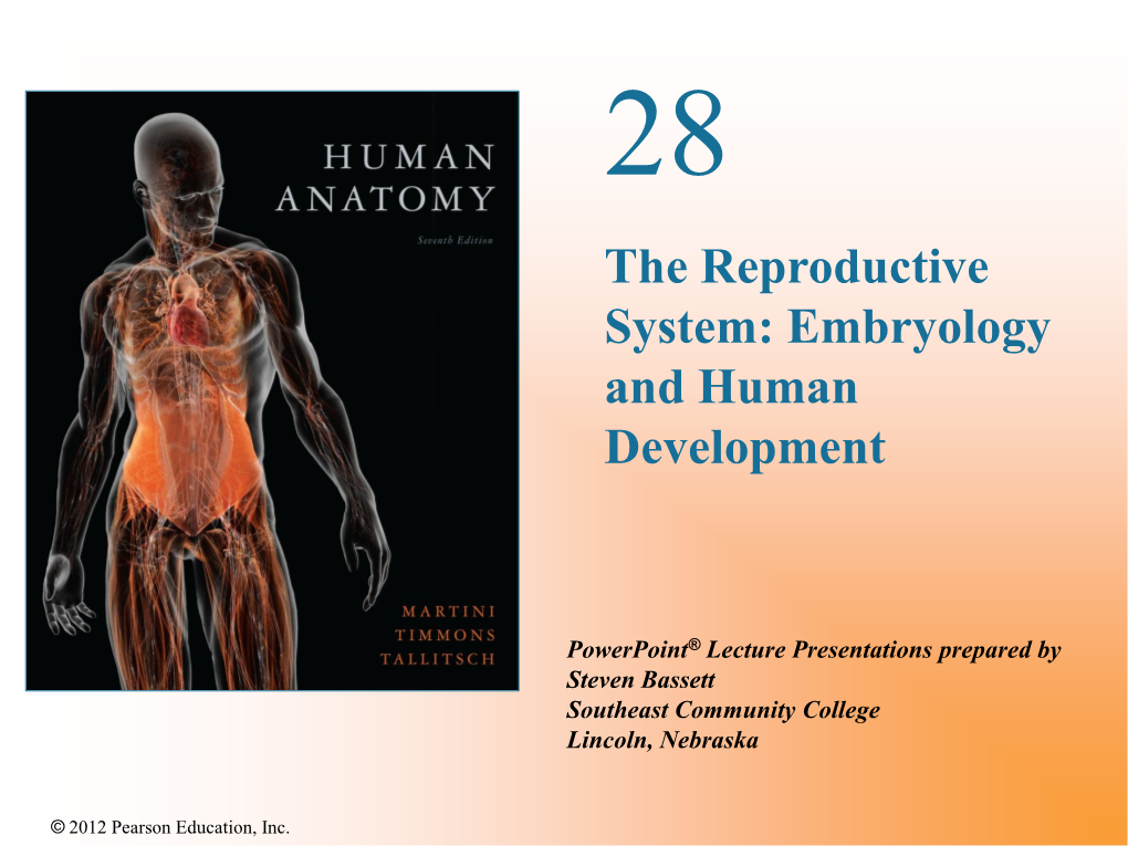 The Reproductive System Embryology And Human Development DocsLib