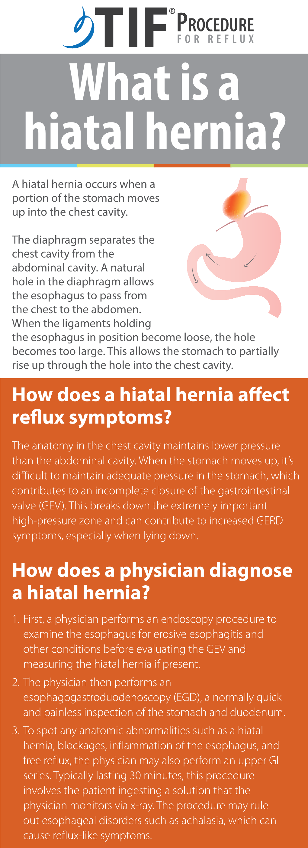 What Is A Hiatal Hernia Docslib