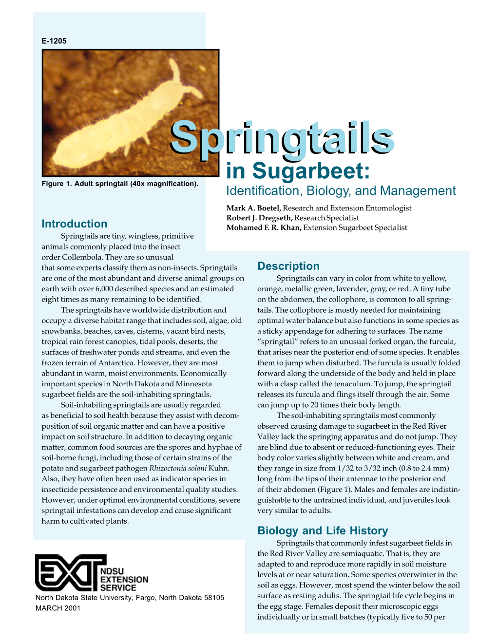 Springtails In Sugarbeet Identification Biology And Docslib