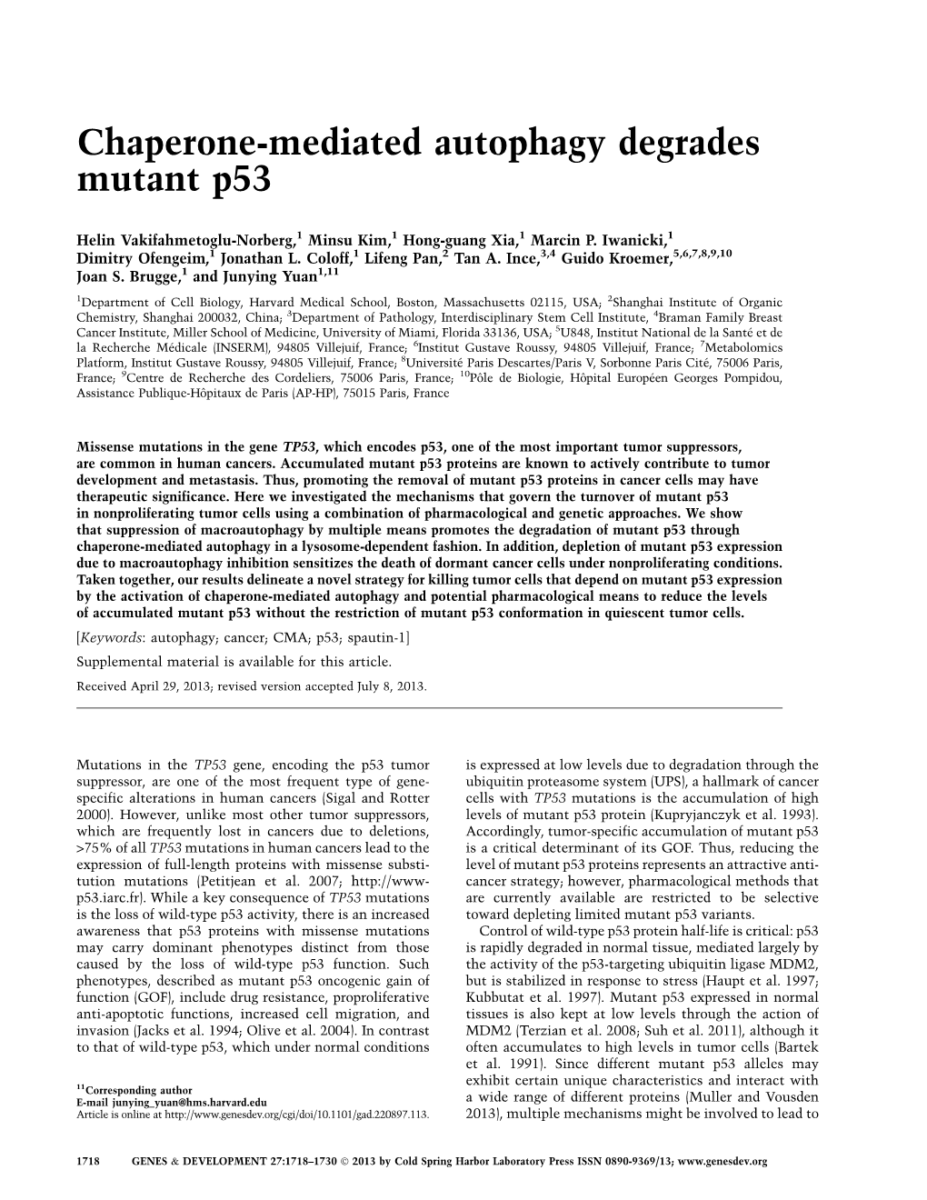 Chaperone Mediated Autophagy Degrades Mutant P Docslib