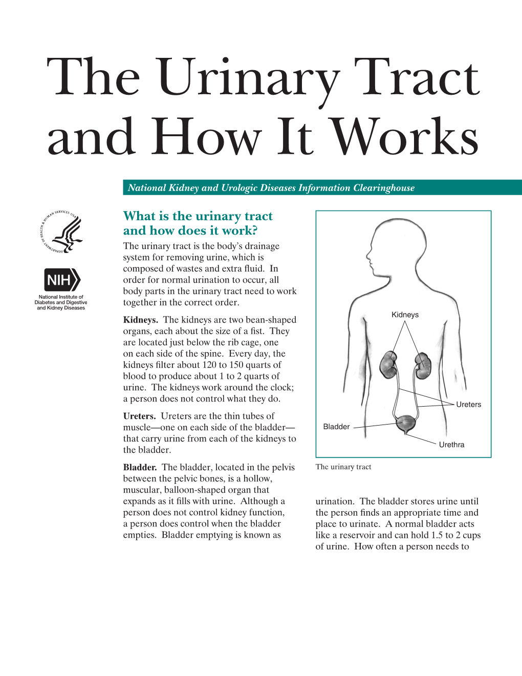 The Urinary Tract And How It Works Docslib