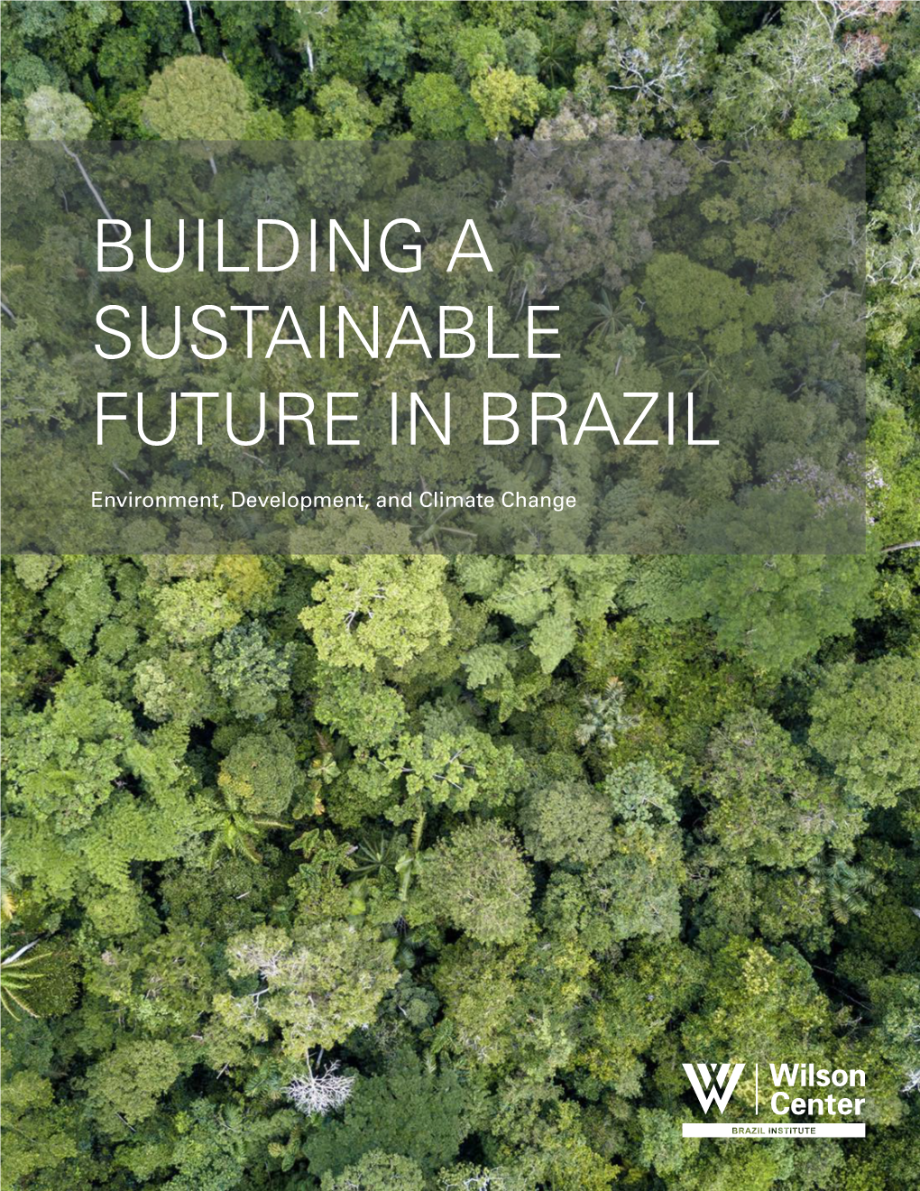 Building A Sustainable Future In Brazil Docslib