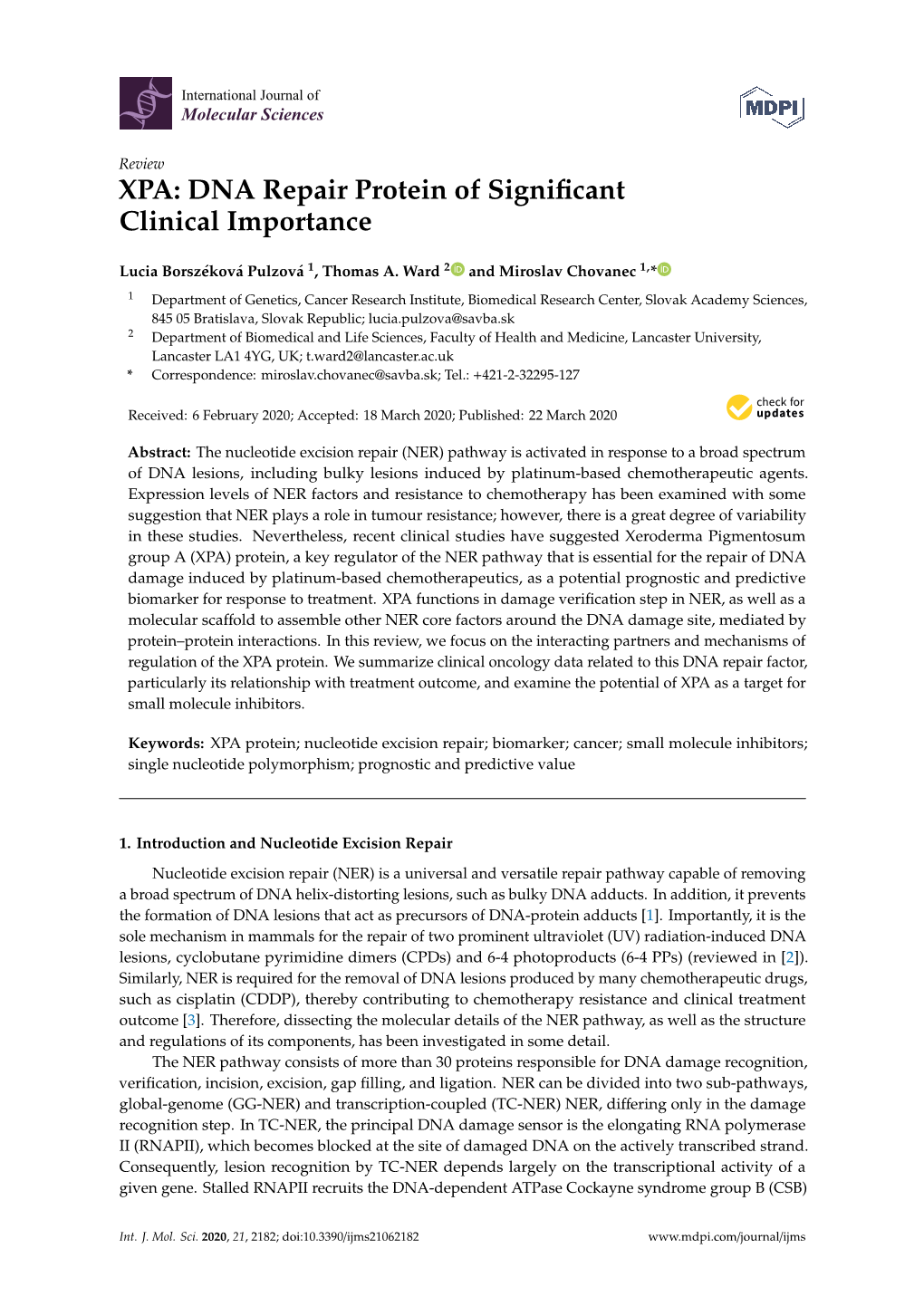 XPA DNA Repair Protein Of Significant Clinical Importance DocsLib