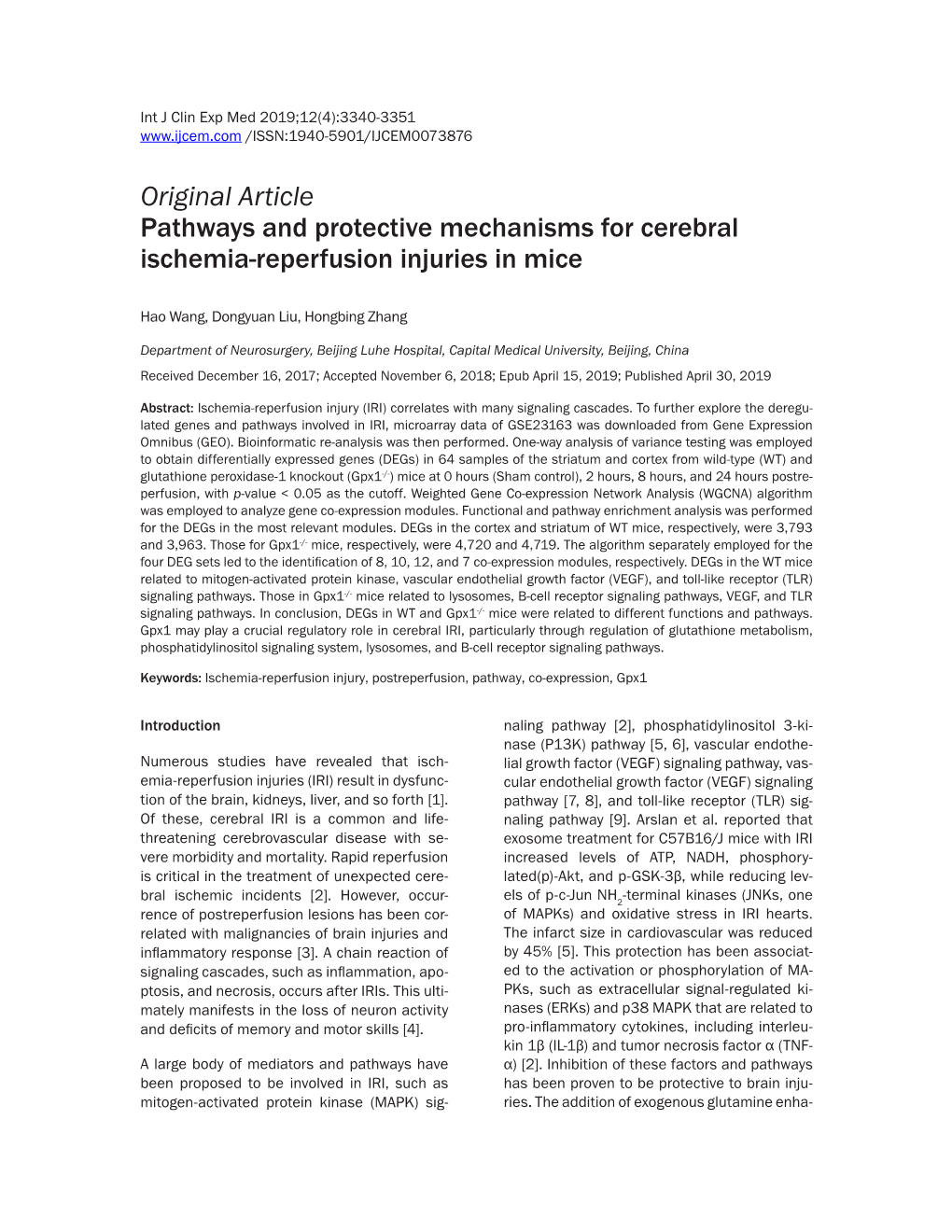 Original Article Pathways and Protective Mechanisms for Cerebral Ischemia-Reperfusion Injuries in Mice