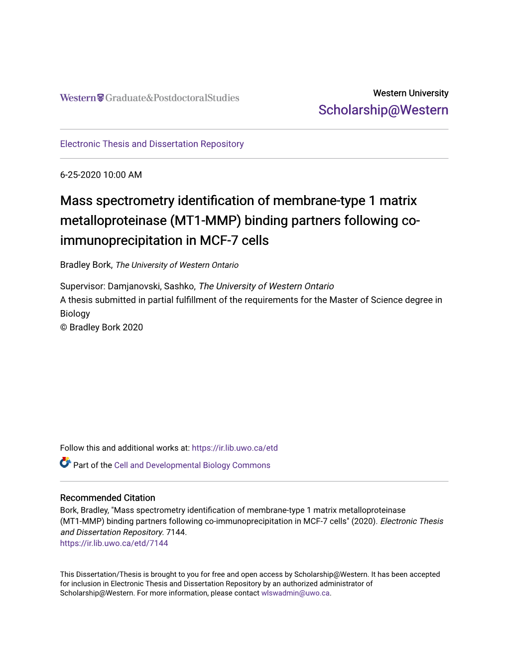 MT1-MMP) Binding Partners Following Co- Immunoprecipitation in MCF-7 Cells