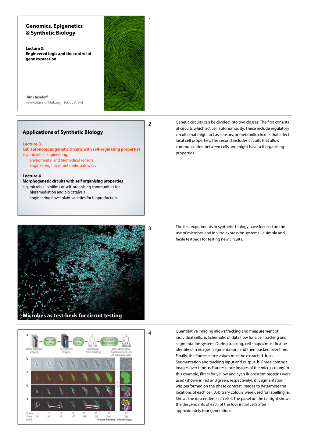Genomics, Epigenetics & Synthetic Biology Microbes As Test-Beds For