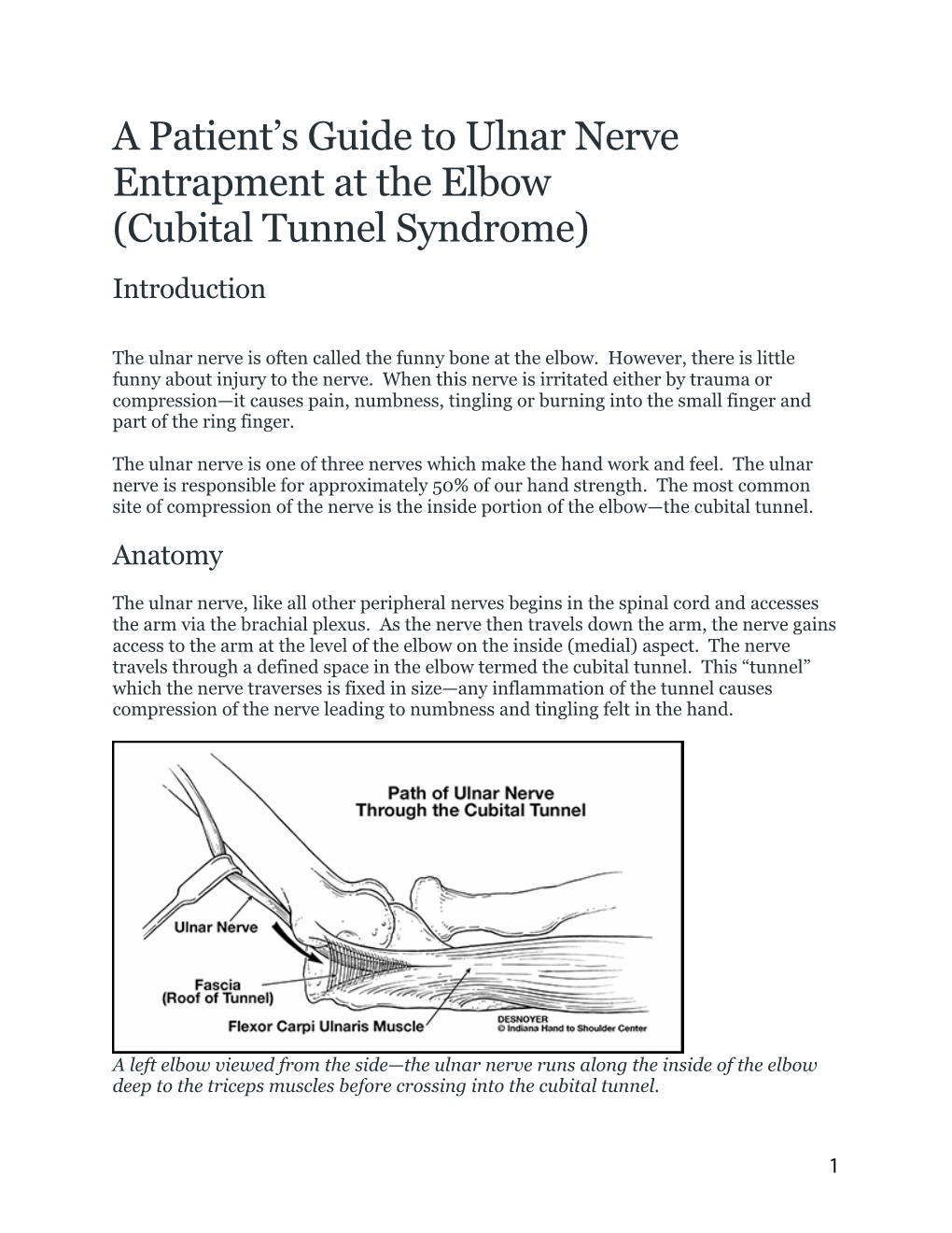 A Patient S Guide To Ulnar Nerve Entrapment At The Elbow Docslib