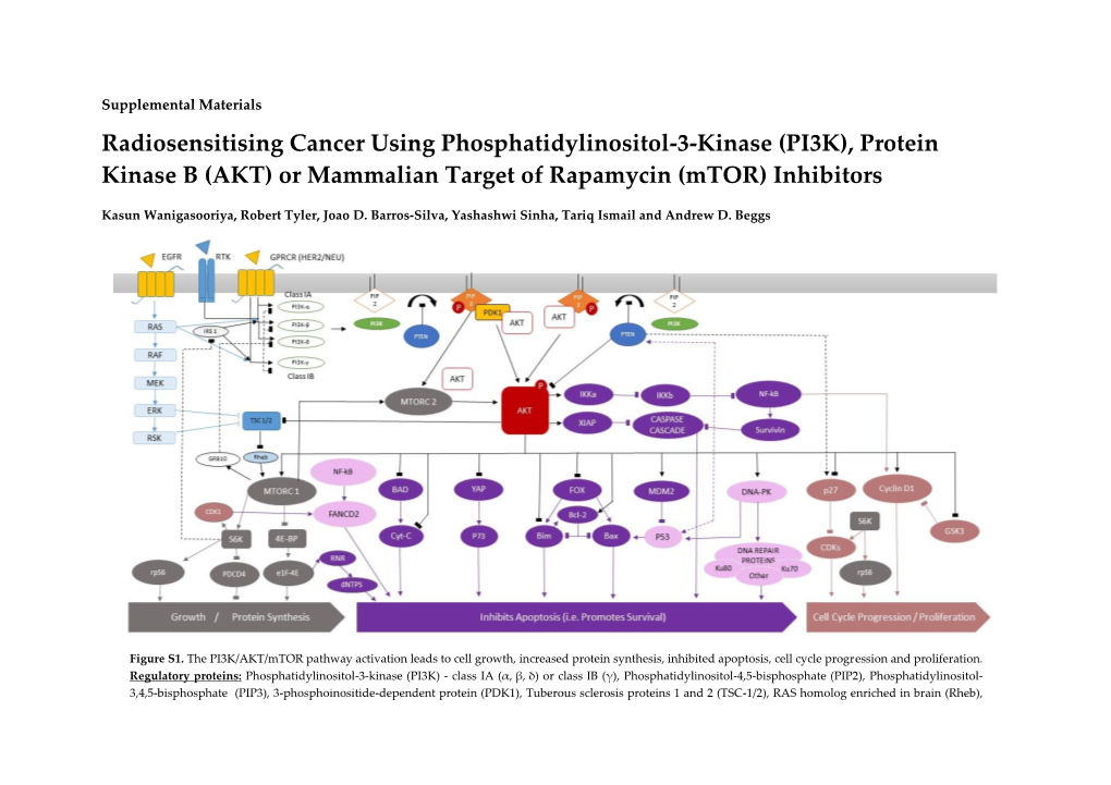 Figure S1 The PI3K AKT Mtor Pathway Activation Leads To Cell Growth