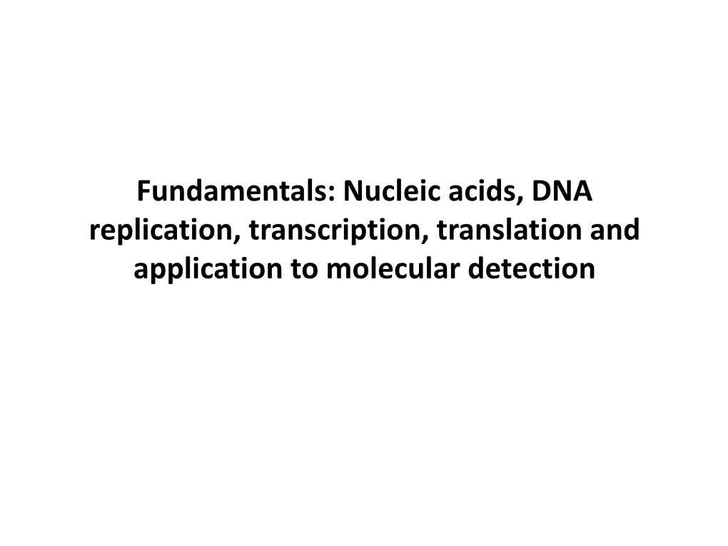 Nucleic Acids Dna Replication Transcription Translation And