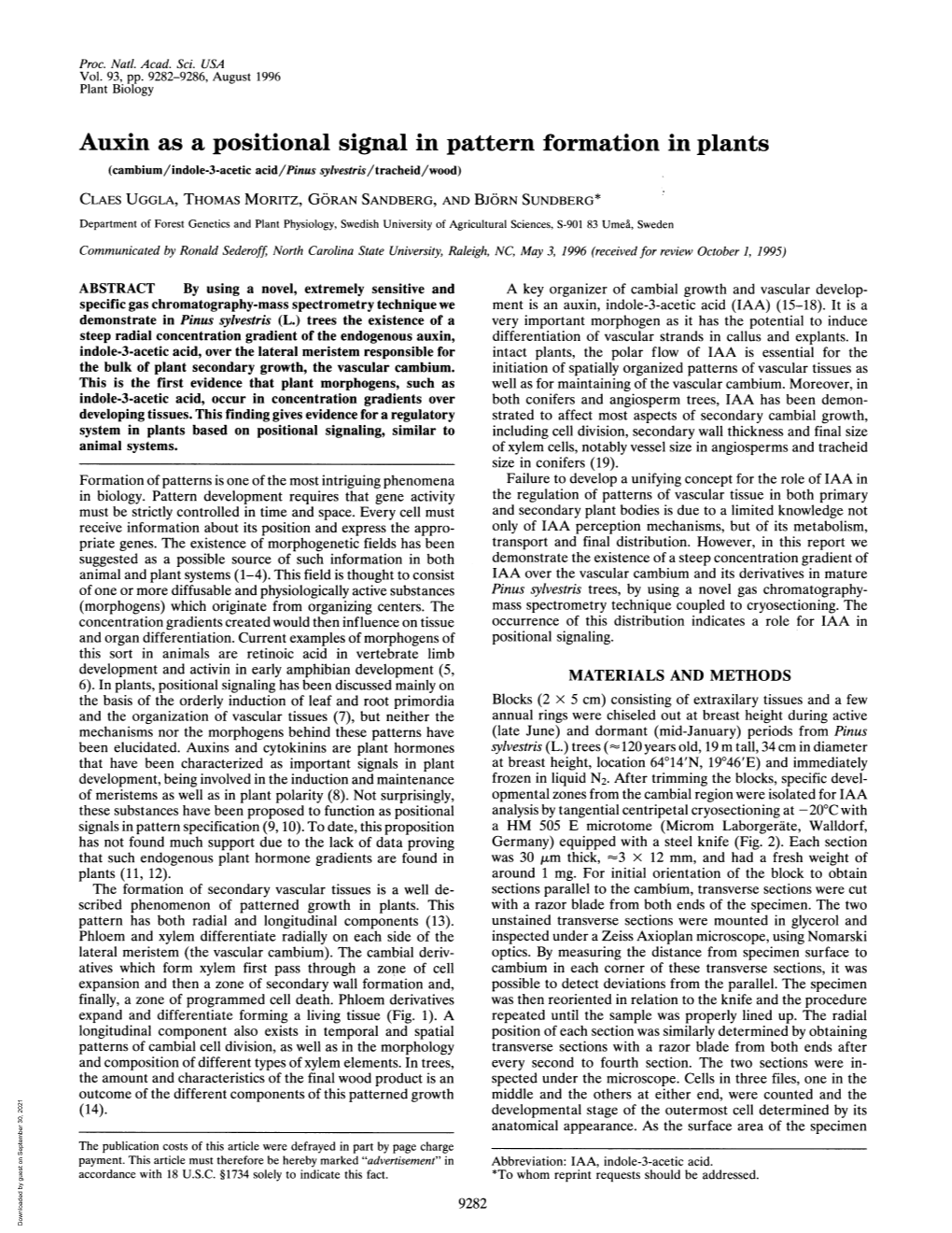 Auxin As A Positional Signal In Pattern Formation In Plants Cambium