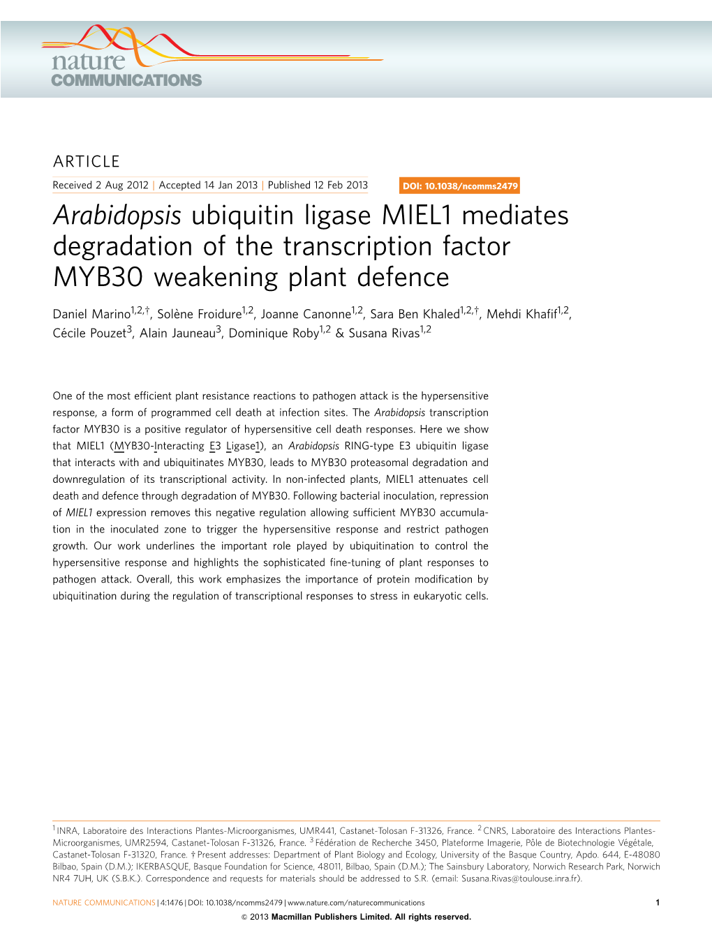 Arabidopsis Ubiquitin Ligase Miel Mediates Degradation Of The