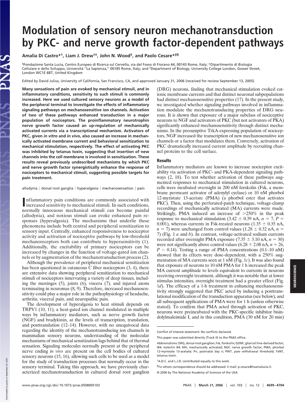 Modulation Of Sensory Neuron Mechanotransduction By PKC And Nerve