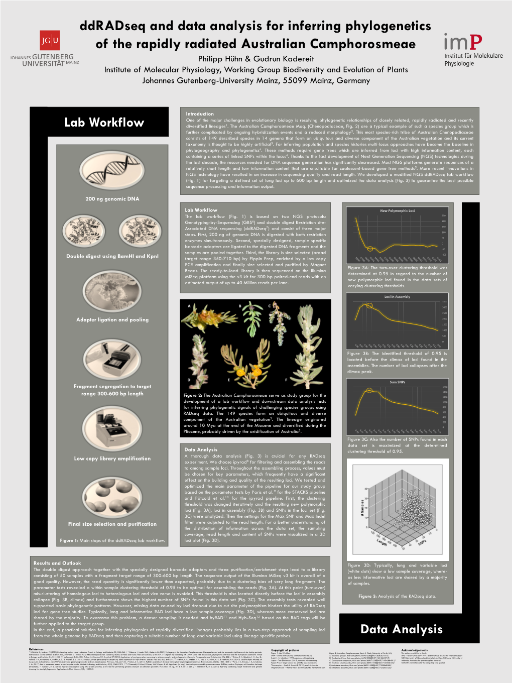 Philipp Hühn & Gudrun Kadereit Institute of Molecular Physiology