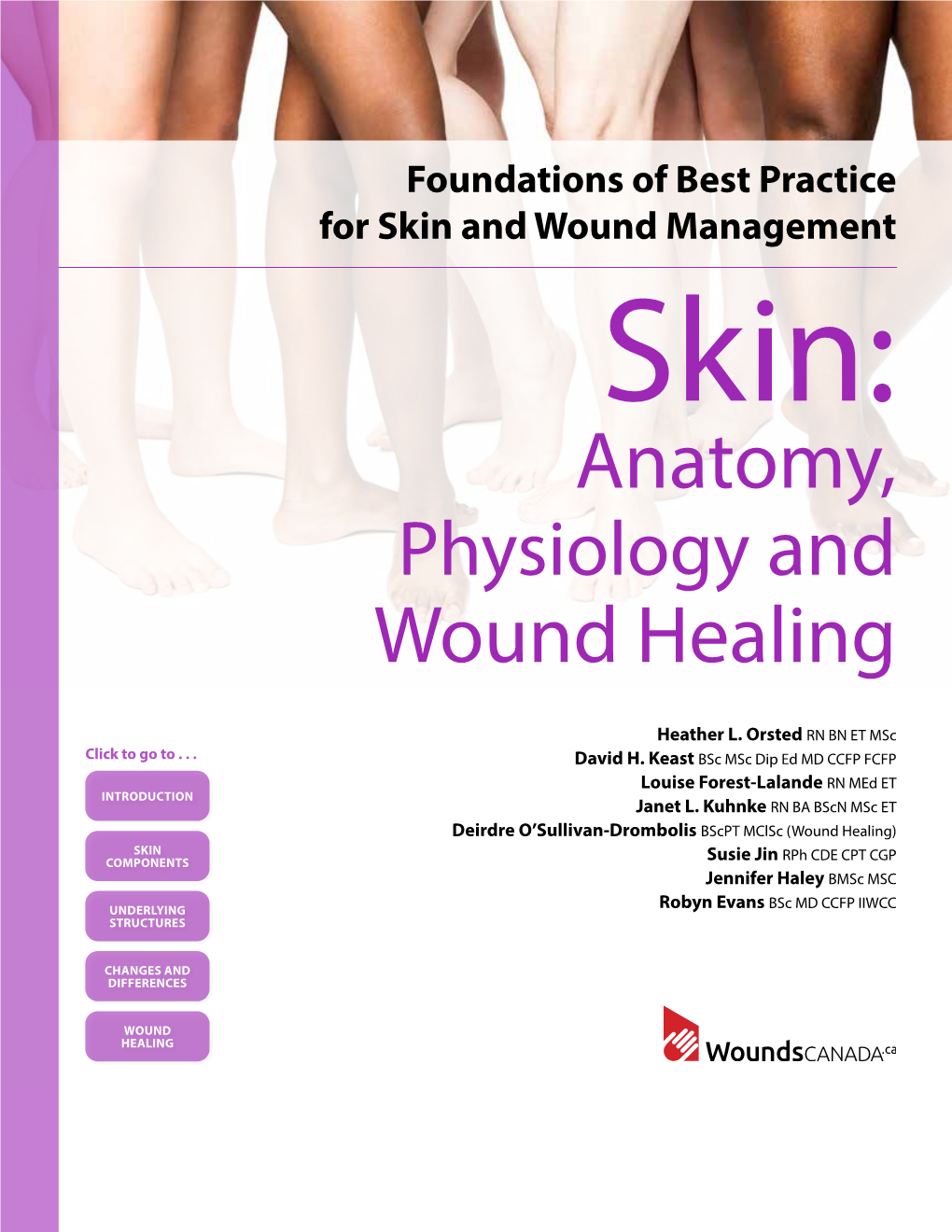 Skin Anatomy Physiology And Wound Healing DocsLib