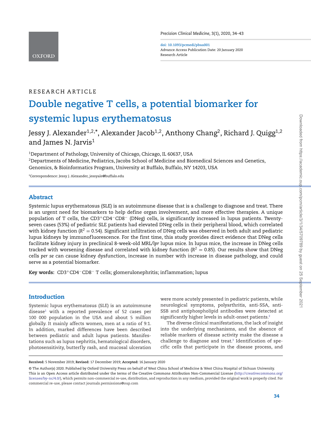 Double Negative T Cells A Potential Biomarker For Systemic Lupus