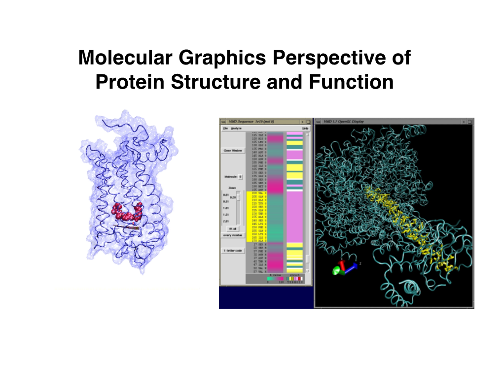 Molecular Graphics Perspective Of Protein Structure And Function Vmd