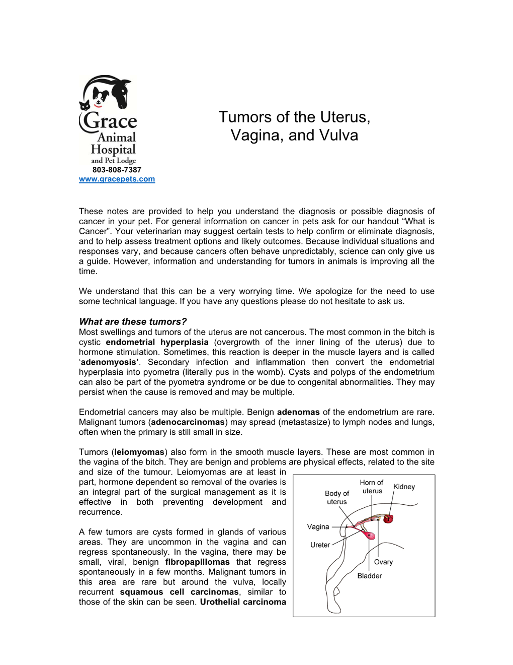 Tumors Of The Uterus Vagina And Vulva Docslib