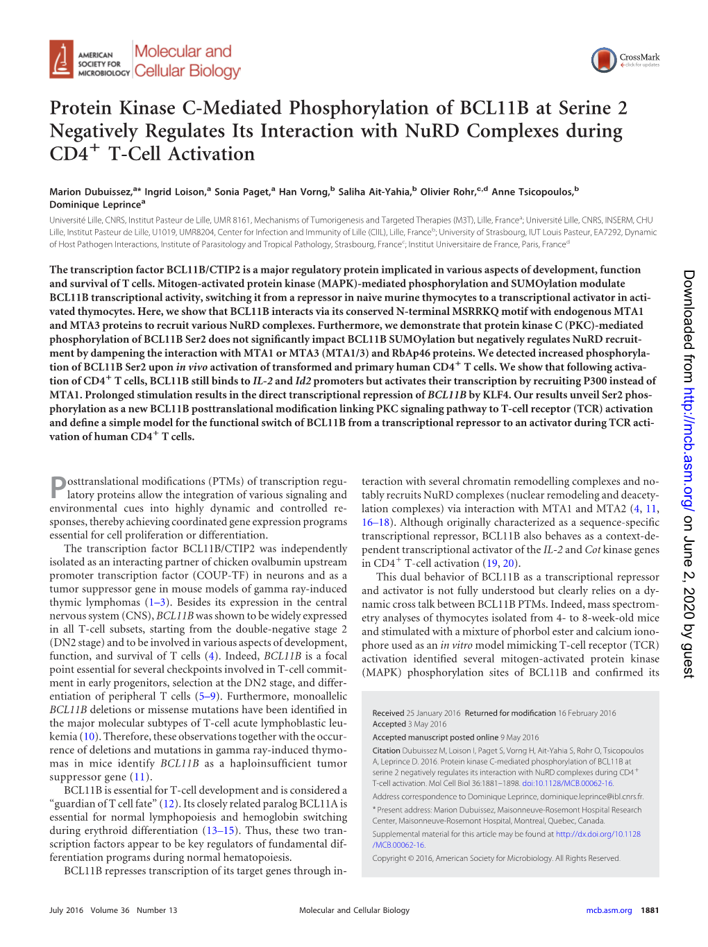 Protein Kinase C Mediated Phosphorylation Of Bcl B At Serine