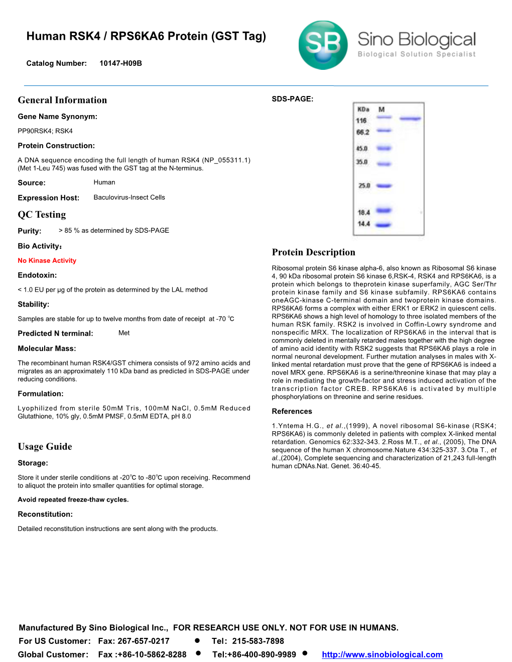 Human RSK4 / RPS6KA6 Protein (GST Tag)