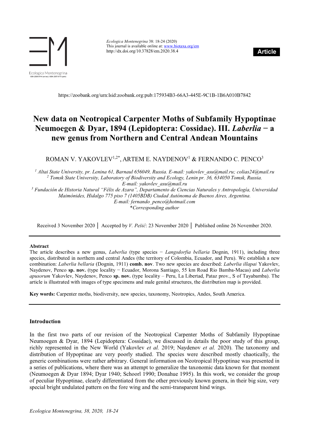 New Data on Neotropical Carpenter Moths of Subfamily Hypoptinae Neumoegen & Dyar, 1894 (Lepidoptera: Cossidae)