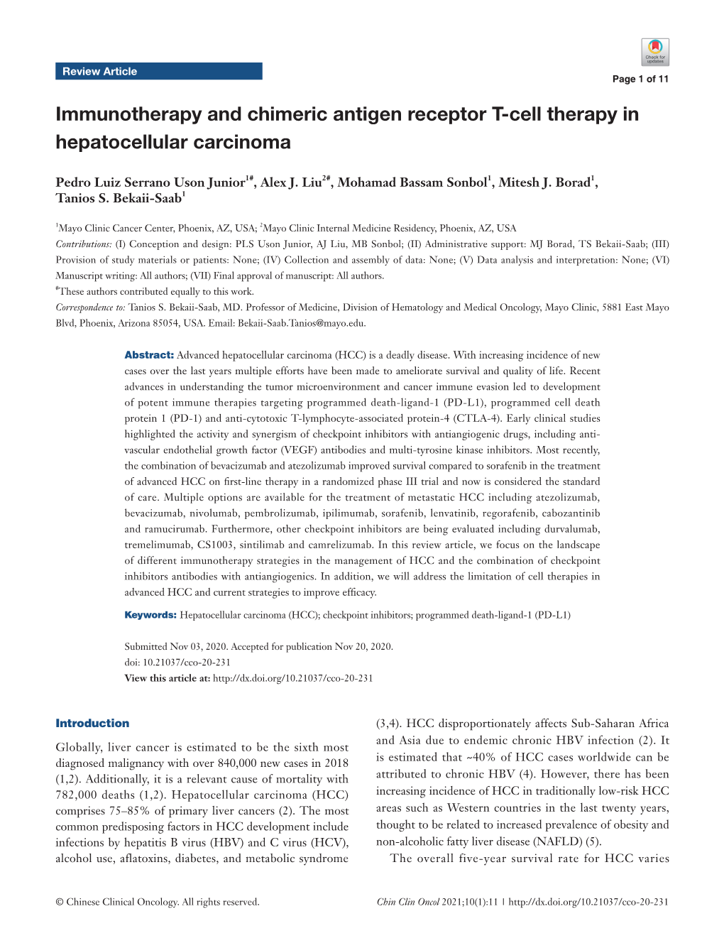 Immunotherapy and Chimeric Antigen Receptor T-Cell Therapy in Hepatocellular Carcinoma