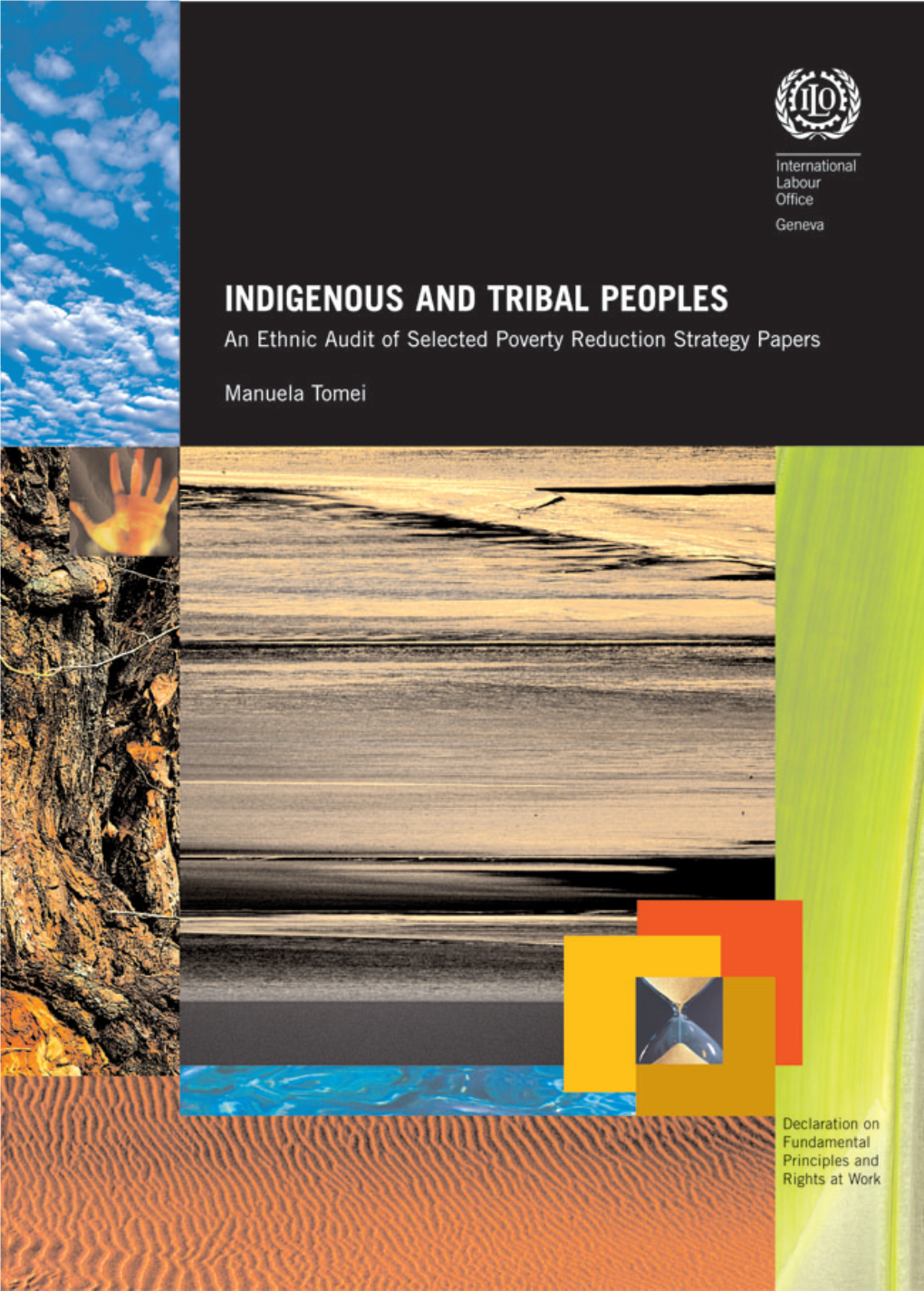 Ethnicity and Poverty-Reduction: the Case for a Differentiated Treatment for Indigenous Tribal Peoples ....13 Poverty Reduction Strategy Papers