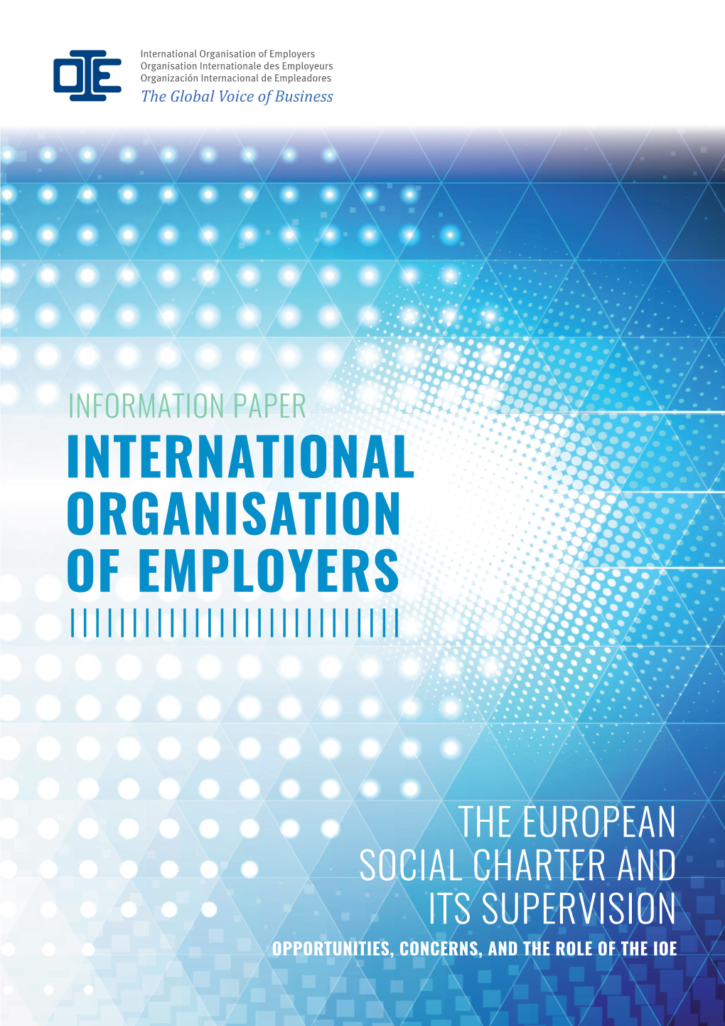 The European Social Charter and Its Supervision Opportunities, Concerns, and the Role of the Ioe