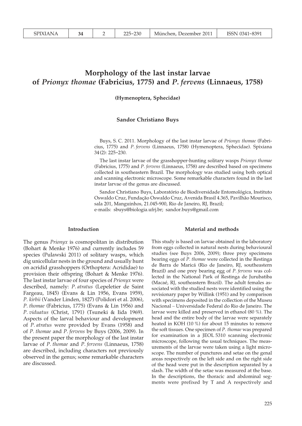 Morphology of the Last Instar Larvae of Prionyx Thomae (Fabricius, 1775) and P