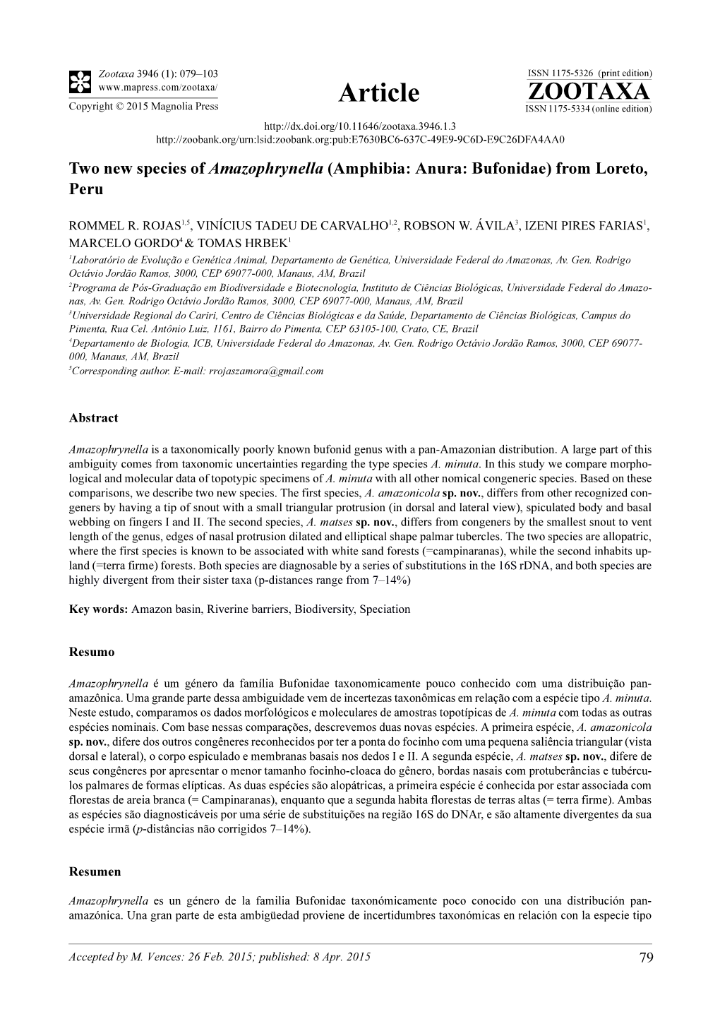 Two New Species of Amazophrynella (Amphibia: Anura: Bufonidae) from Loreto, Peru