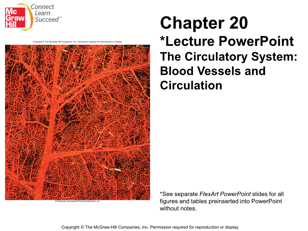 Chapter 20 *Lecture Powerpoint the Circulatory System: Blood Vessels and Circulation