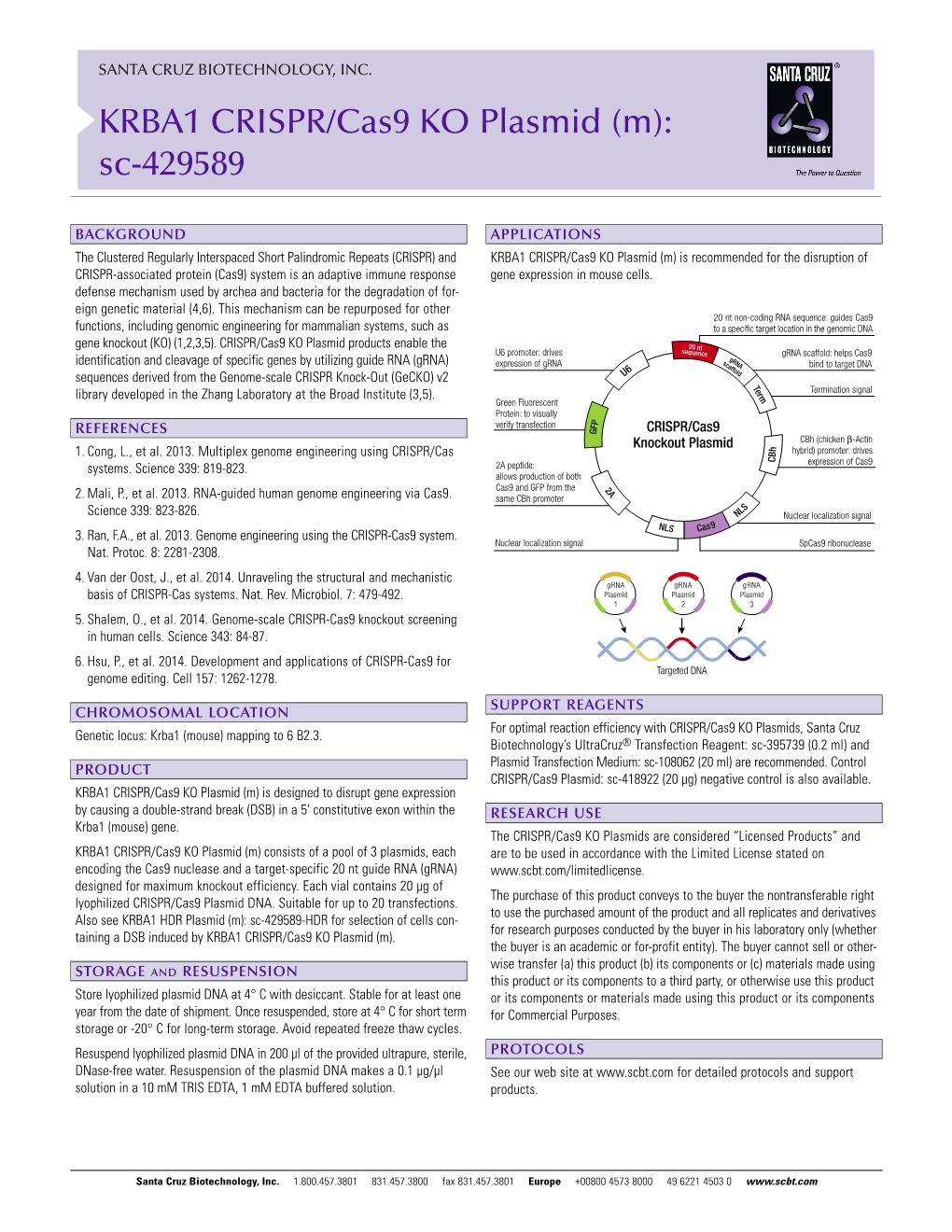 KRBA1 CRISPR/Cas9 KO Plasmid (M): Sc-429589