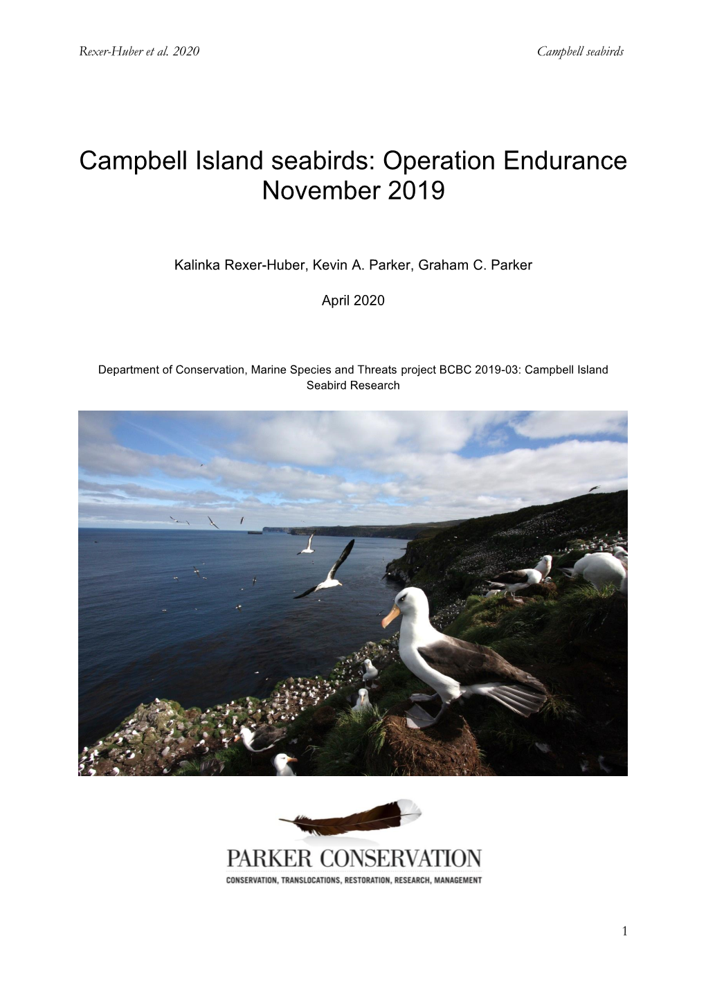 Campbell Island Seabirds: Operation Endurance November 2019