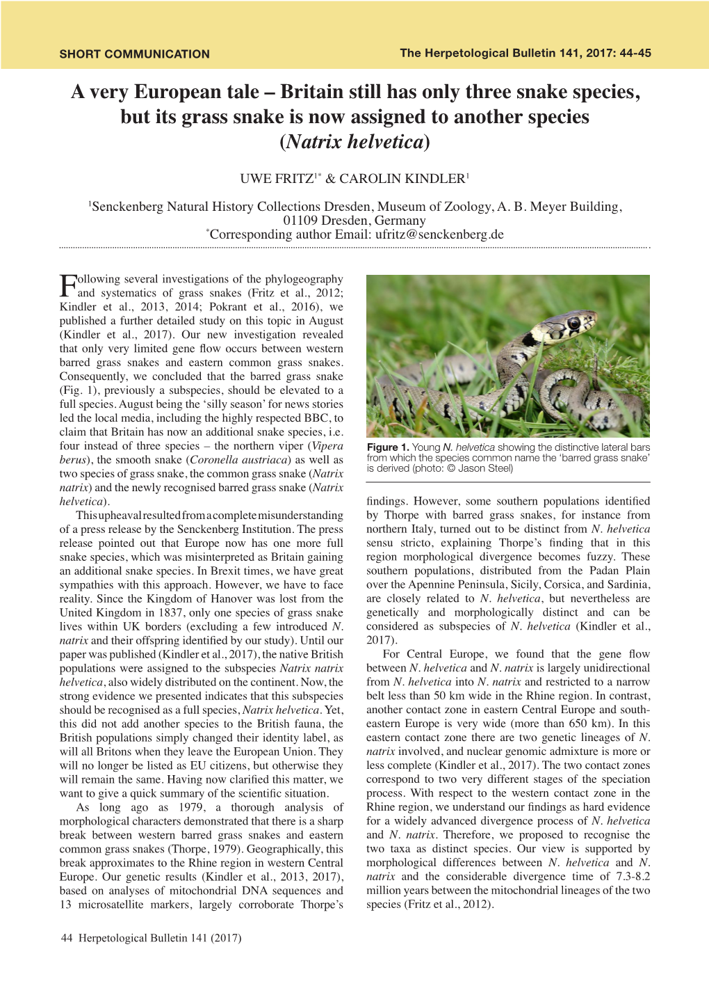 A Very European Tale – Britain Still Has Only Three Snake Species, but Its Grass Snake Is Now Assigned to Another Species (Natrix Helvetica)