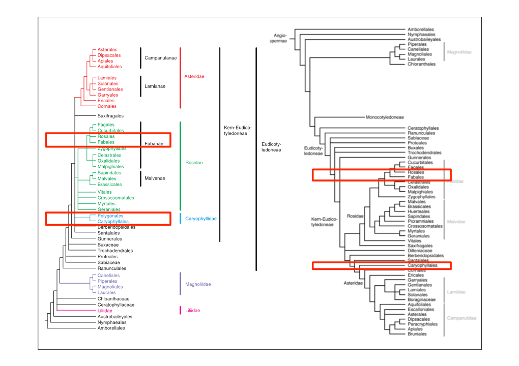 Systematikss11 8.Pdf