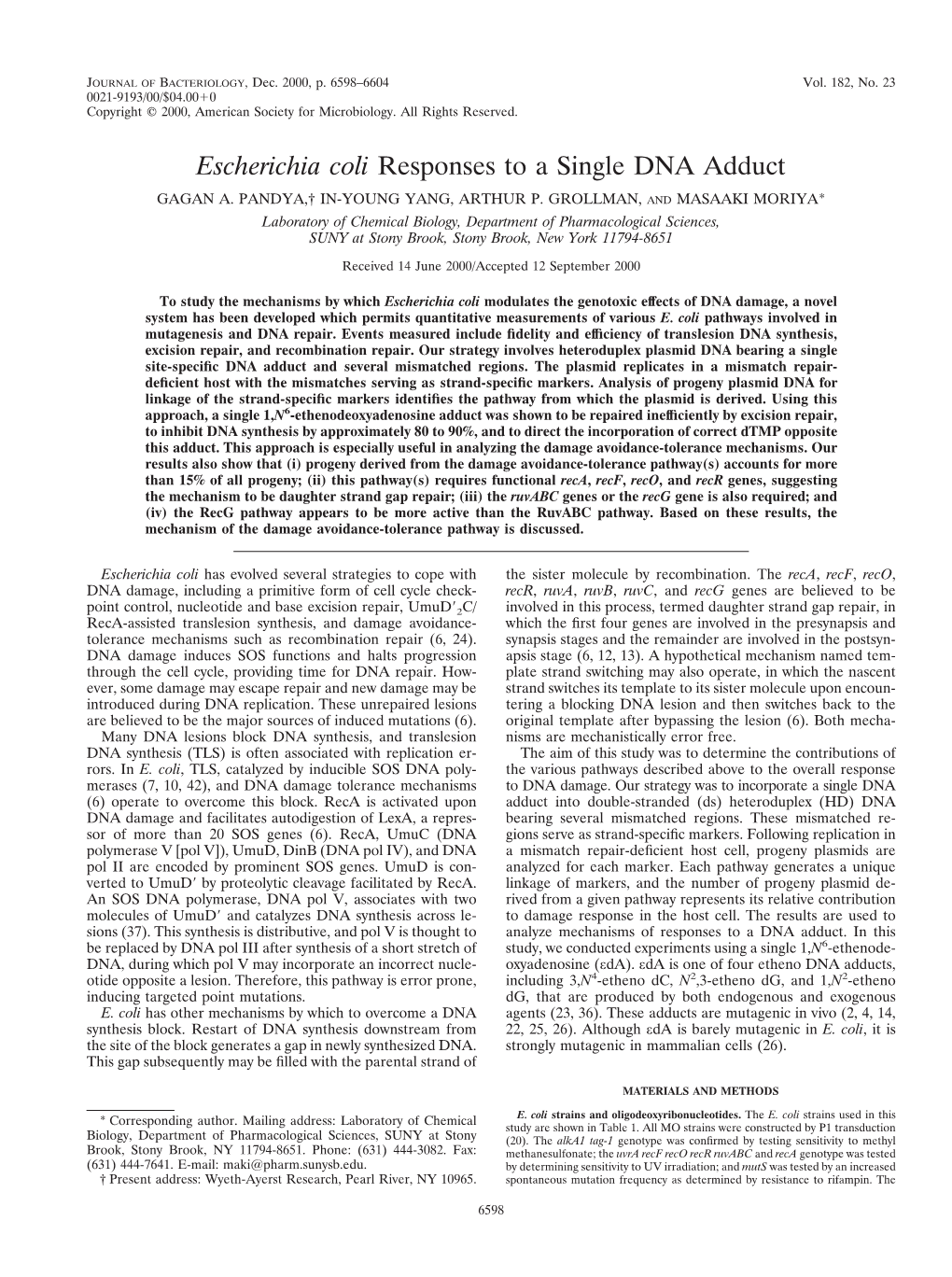 Escherichia Coli Responses to a Single DNA Adduct