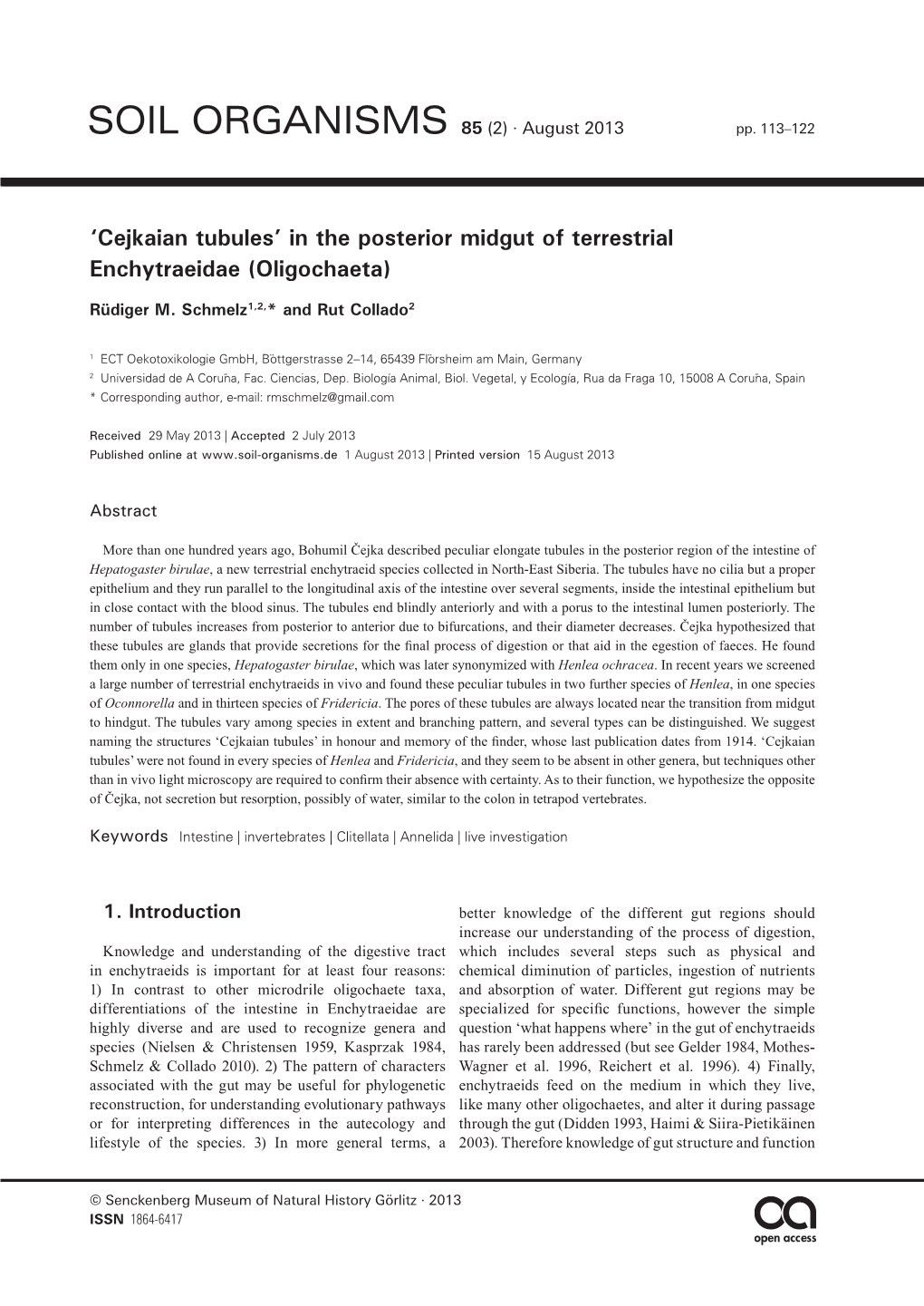 'Cejkaian Tubules' in the Posterior Midgut of Terrestrial Enchytraeidae (Oligochaeta)