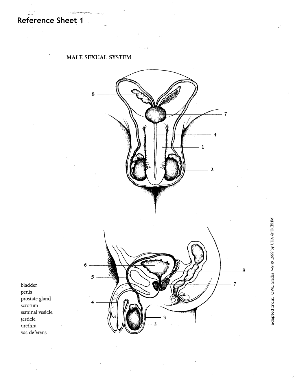 Reference Sheet 1