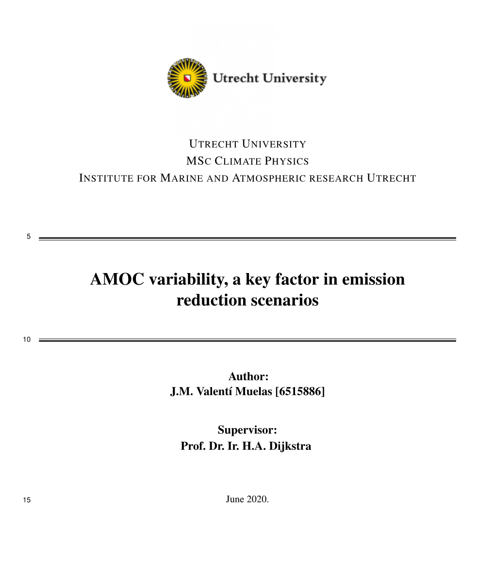 AMOC Variability, a Key Factor in Emission Reduction Scenarios